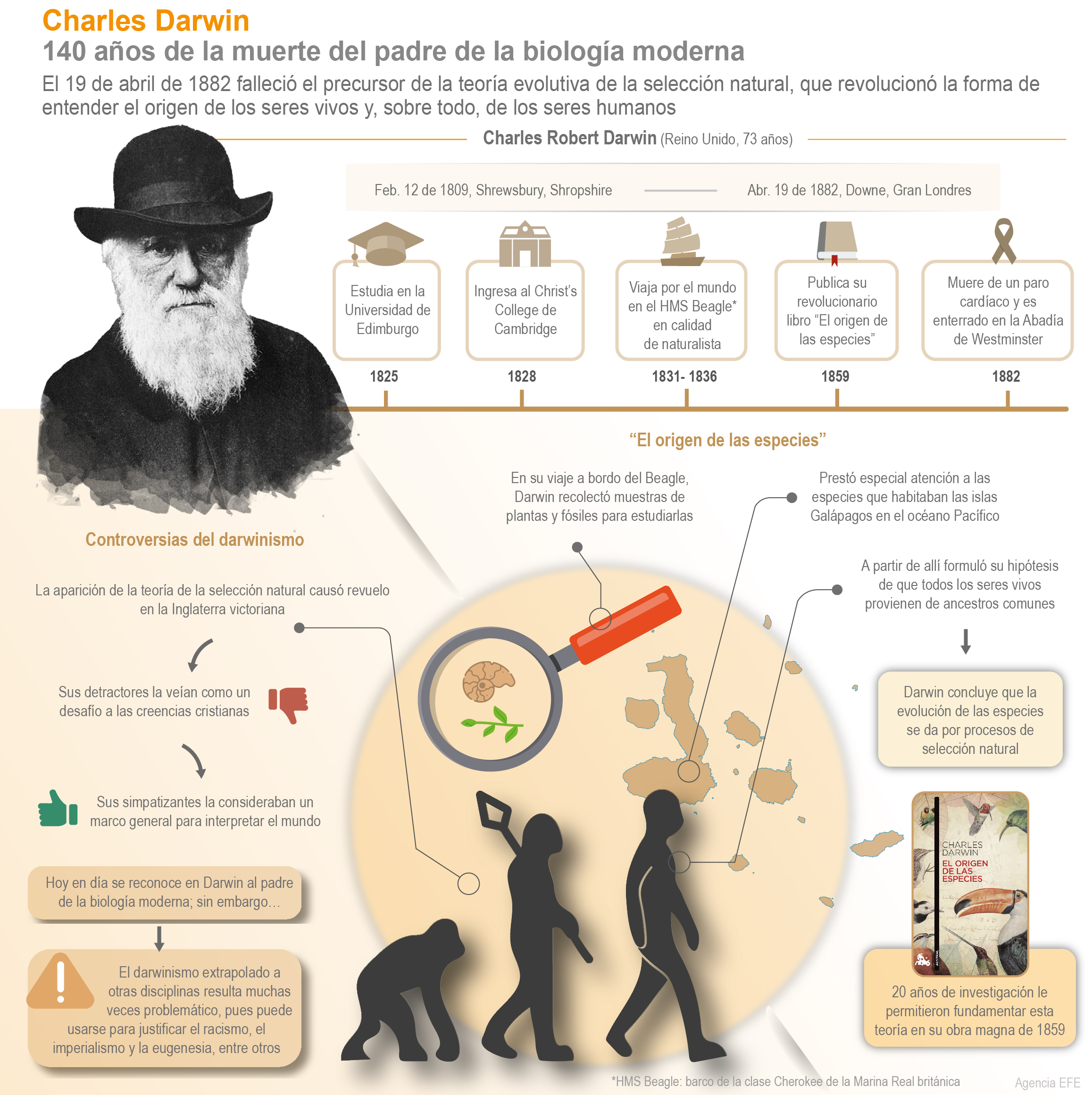 Charles Darwin: 140 años de la muerte del padre de la biología moderna |  