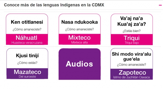 Gobierno de la Ciudad de México difunde lenguas indígenas en Internet |  