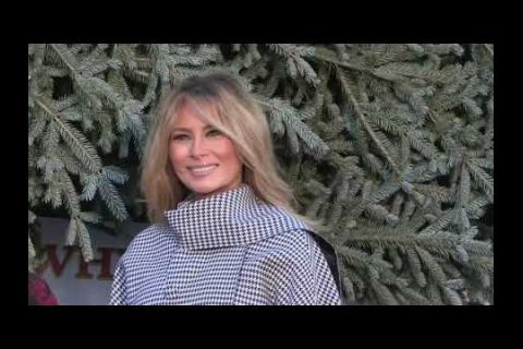 Embedded thumbnail for Melania Trump presenta el árbol de Navidad de la Casa Blanca