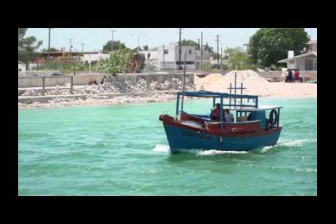 Embedded thumbnail for Destina Conapesca 264 5 mdp a pescadores afectados por contingencias