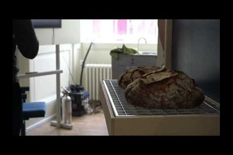 Embedded thumbnail for La Bienal del Diseño explora en Londres el pan del futuro y el arte de los robots