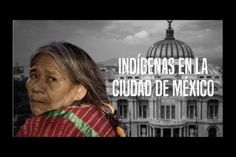 Embedded thumbnail for Indígenas en la Ciudad de México 