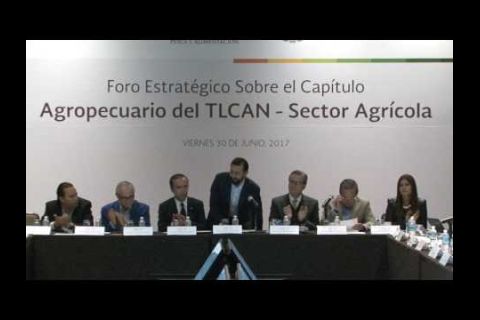 Embedded thumbnail for Preparan SAGARPA y productores estrategia agropecuaria para la negociación del TLCAN 