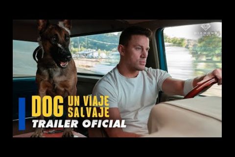Embedded thumbnail for Hoy- y siempre - toca...¡Cine! Dog: Un Viaje Salvaje