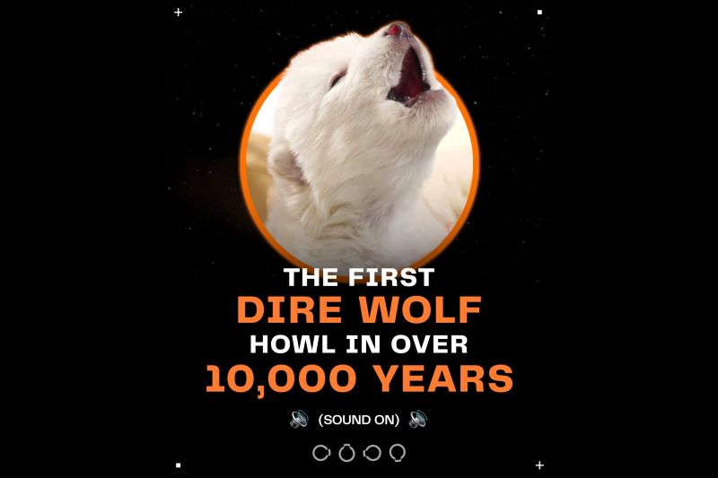 Dan vida al lobo huargo de la Casa Stark en la serie 'Juego de Tronos', extinto hace 13,000 años 01080425 