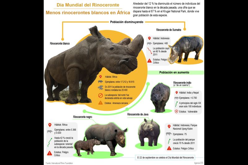 Día mundial del rinoceronte: Menos rinocerontes blancos en África 01 - 220921