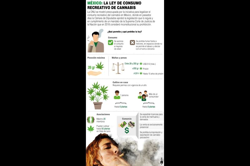 Cannabis en México - 2021