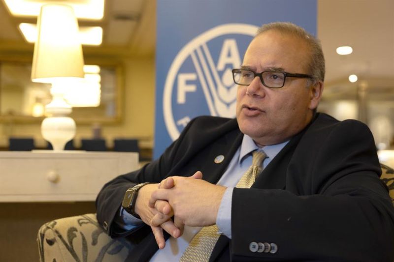 El economista jefe de la Organización de Naciones Unidas para la Agricultura y Alimentación (FAO), Máximo Torero, habla durante una entrevista con EFE el 9 de abril de 2024 en Ciudad de Guatemala (Guatemala). EFE/ Danilo Ramírez