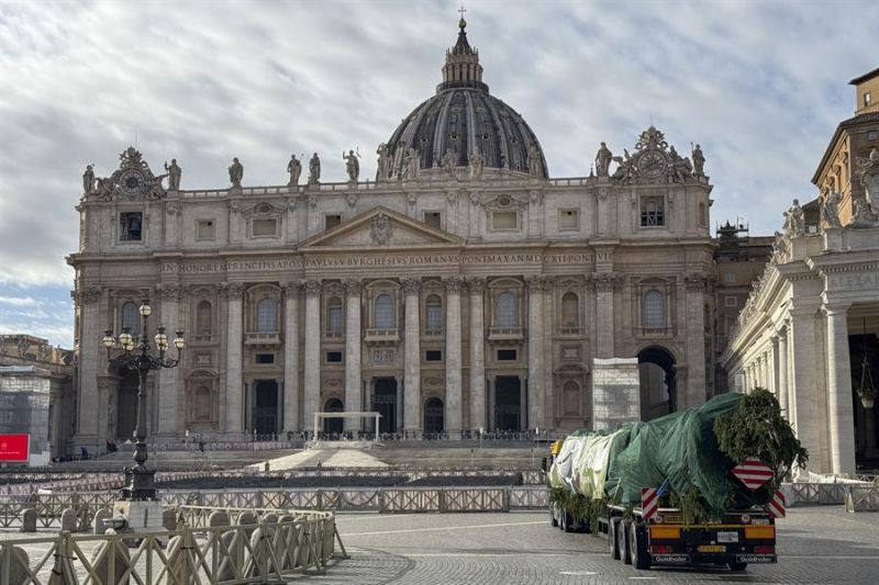 El abeto gigante que adornará el Vaticano y cuya tala en Ledro (norte) causó indignación en Italia llegó a la Plaza de San Pedro, donde será iluminado el próximo 7 de diciembre y el tradicional pesebre navideño. EFE