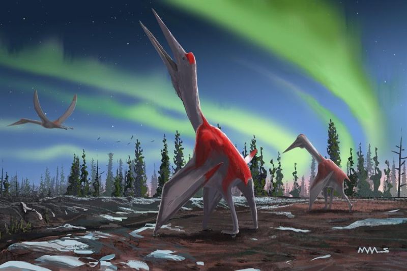 Un alijo de huesos de la criatura, bautizada como "Cryodrakon boreas" o Dragón Congelado del Norte, fue hallado en Dinosaur Provincial Park, en el sur de Alberta, Canadá.