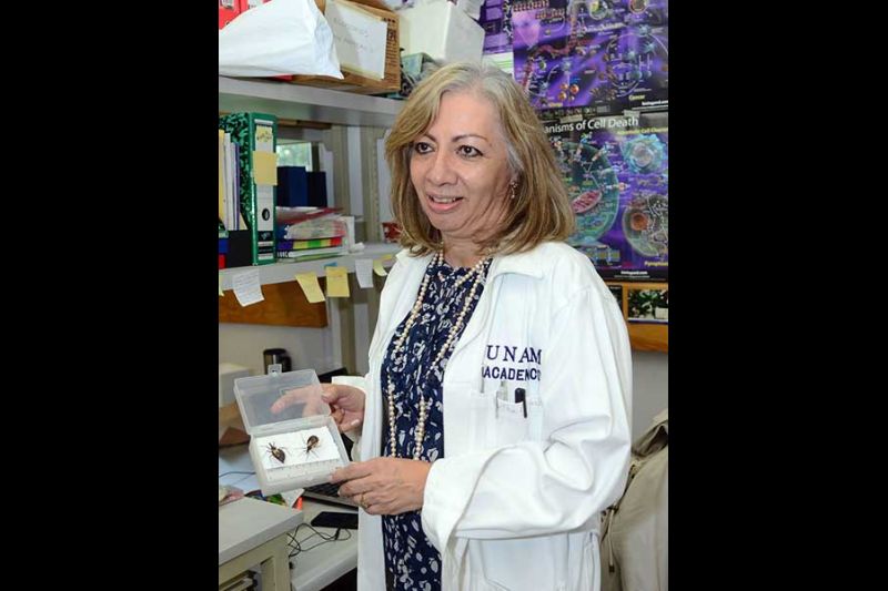 Bertha Espinoza Gutiérrez, del IIBm de la UNAM. 