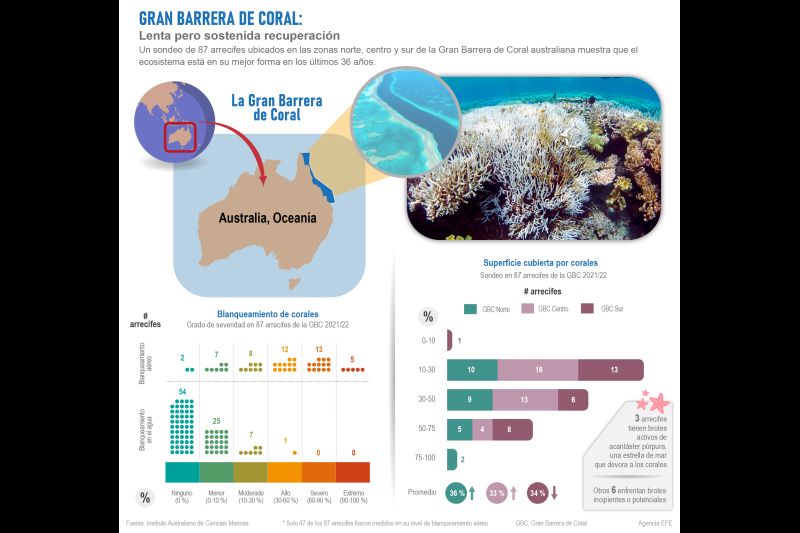 Gran Barrera de Coral: Lenta pero sostenida recuperación 01 070822
