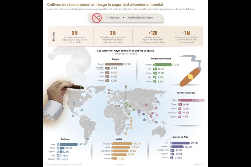 Cultivos de tabaco ponen en riesgo la seguridad alimentaria mundial 01 260523