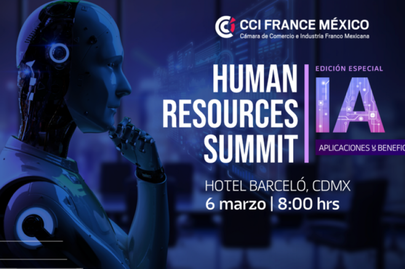 CCI FRANCE LOGO 01100225