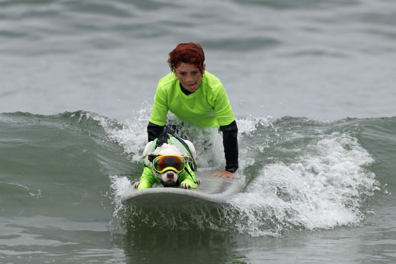 World Dog Surfing Championships 01 080822