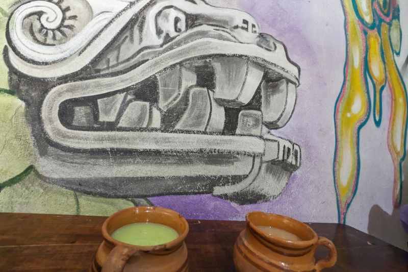 Fotografía de dos vasijas de barro con pulque el 20 de abril de 2024, en el poblado de Apan, en el estado de Hidalgo (México). EFE/ Miguel Victoria 01 210424