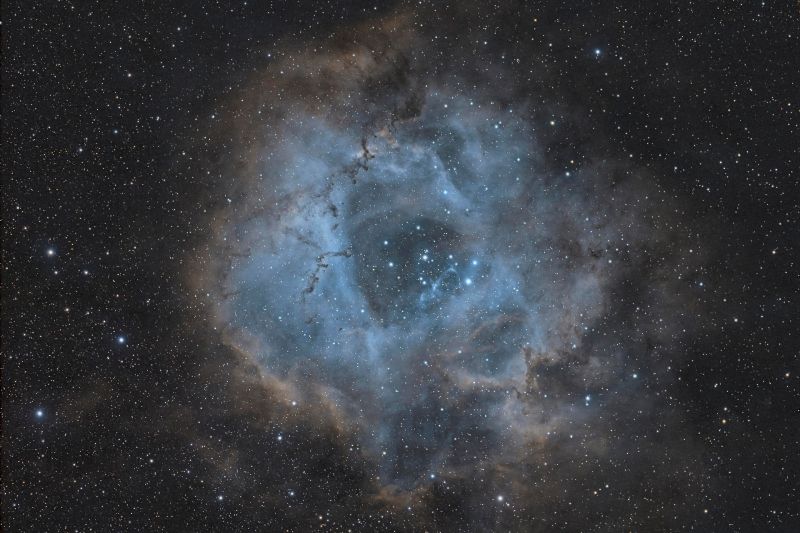 Nebulosa Roseta 01100425