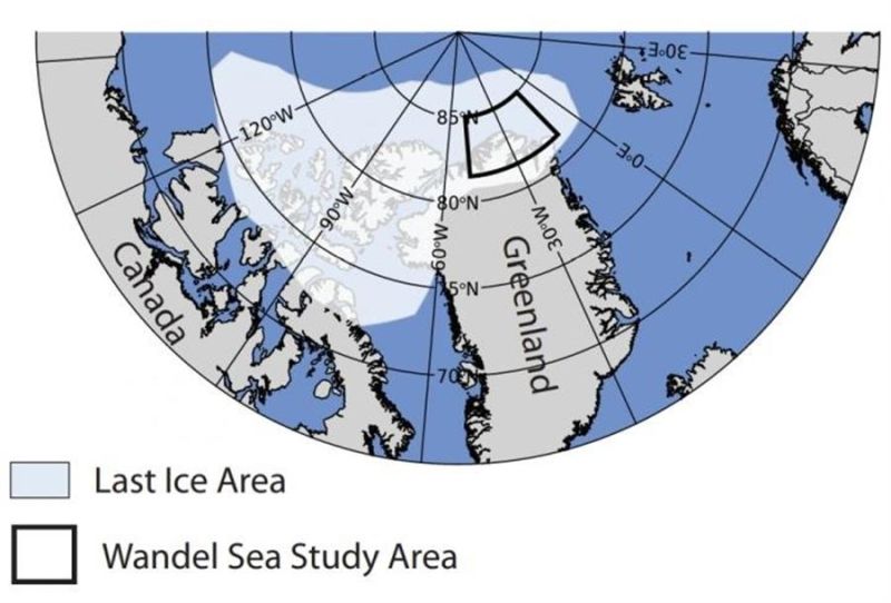 El estudio se centró en el Mar de Wandel, al norte de Groenlandia, que está dentro de lo que se conoce como la "última zona de hielo" del Océano Ártico. EFE/Schweiger et al./Communications Earth & Environment/Foto cedida