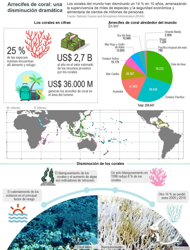 Arrecifes de coral: una disminución dramática 01 121021