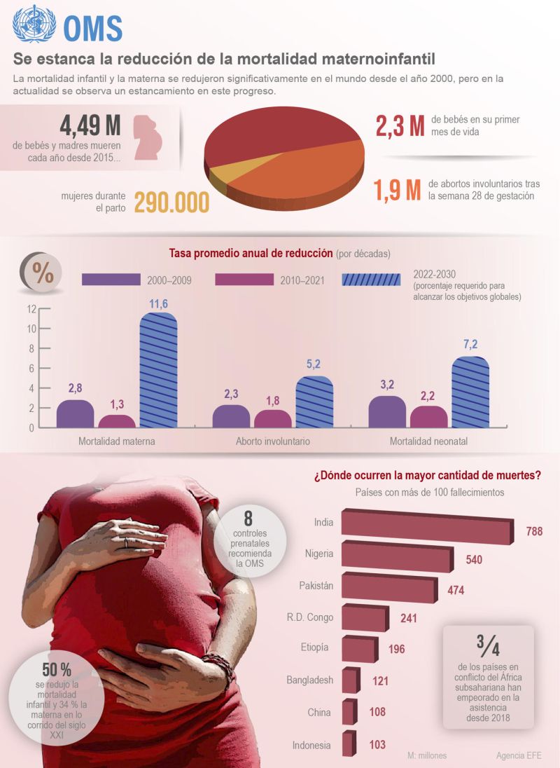 OMS: Se estanca la reducción de la mortalidad maternoinfantil 01 100523