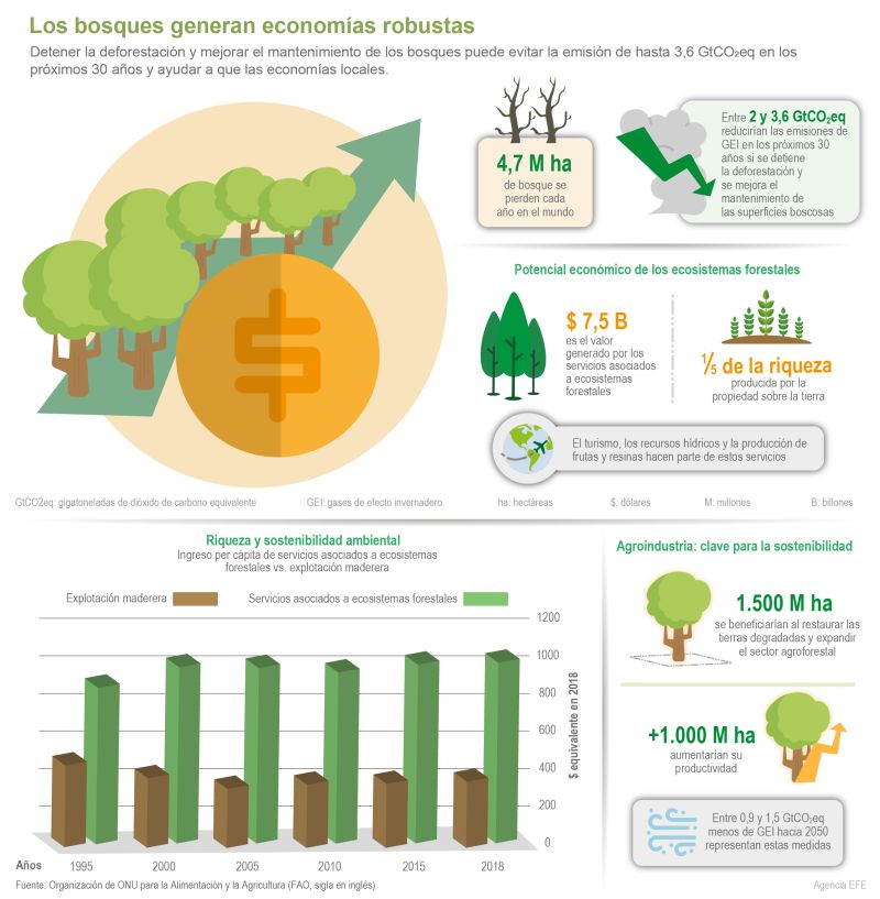 Los bosques generar economías robustas 01 070522