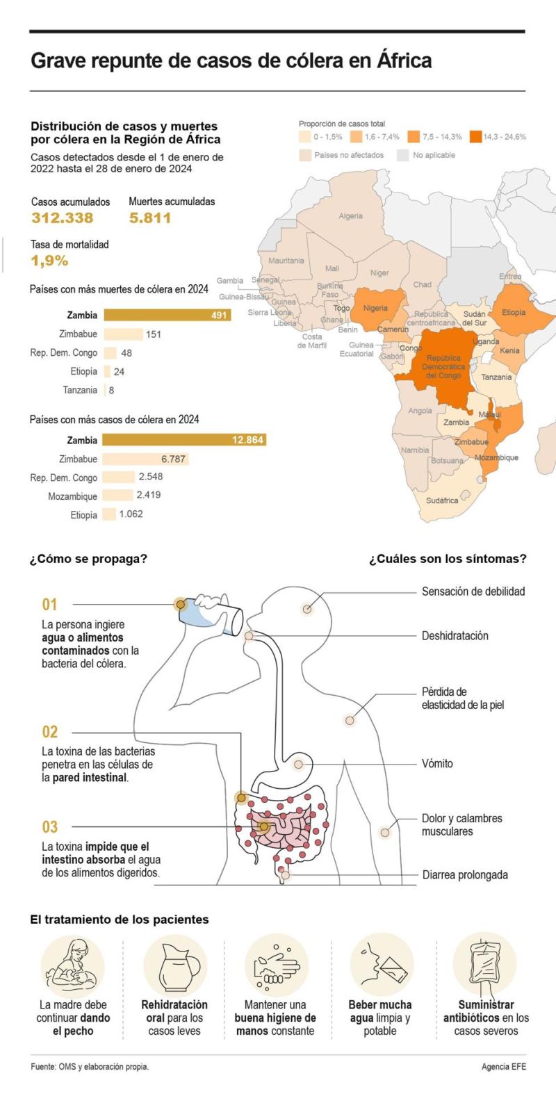 La OMS alerta sobre el grave repunte de casos de cólera en el este y sur de África 01 150224