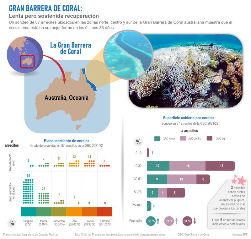 Gran Barrera de Coral: Lenta pero sostenida recuperación 01 070822