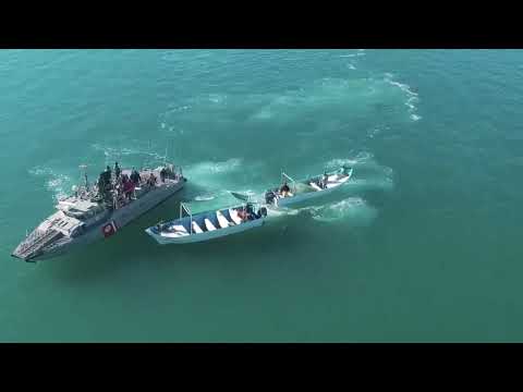 Embedded thumbnail for La lucha de Sea Shepherd por mantener con vida a la vaquita marina